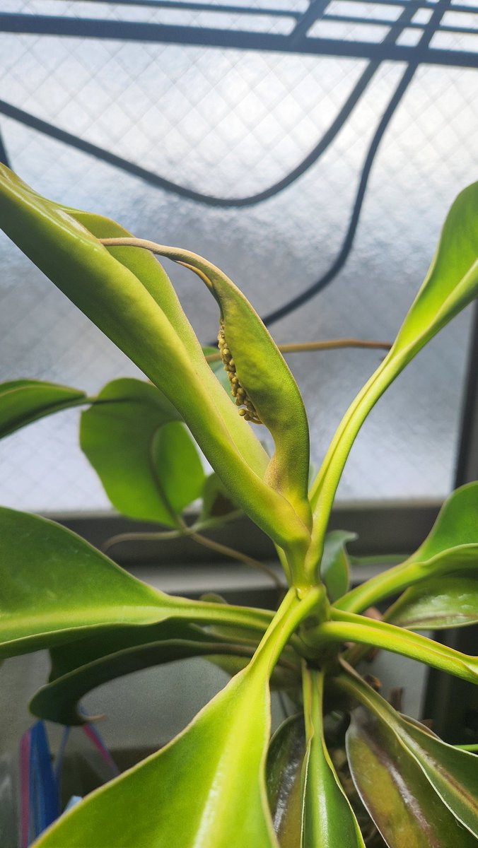 mona もな (@mo_na720) / Posts / X