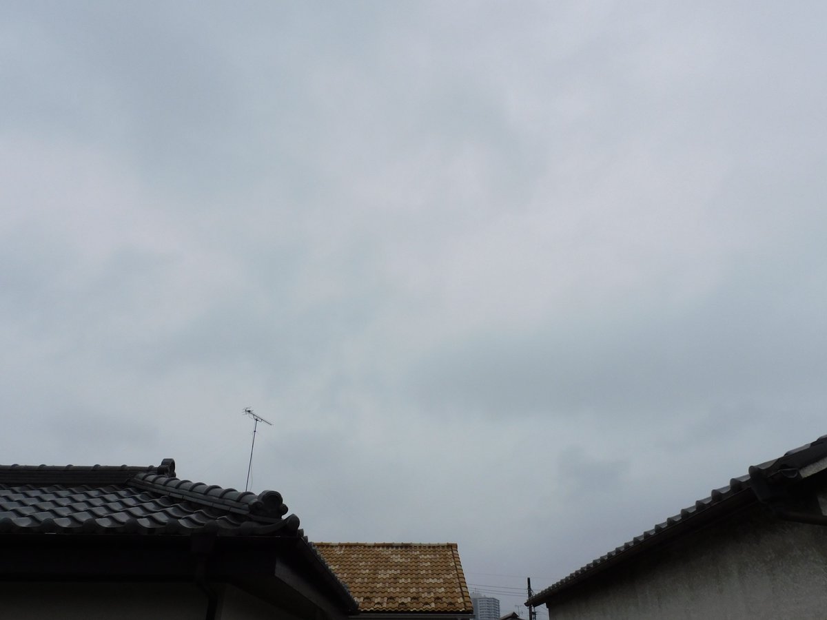 めるめるめ 大人気ファッションモデル・タレント”めるる”がデザイン監修