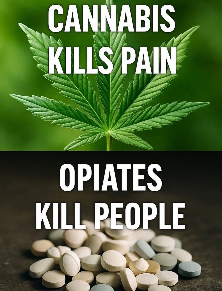 Cannabis Culture tweet media
