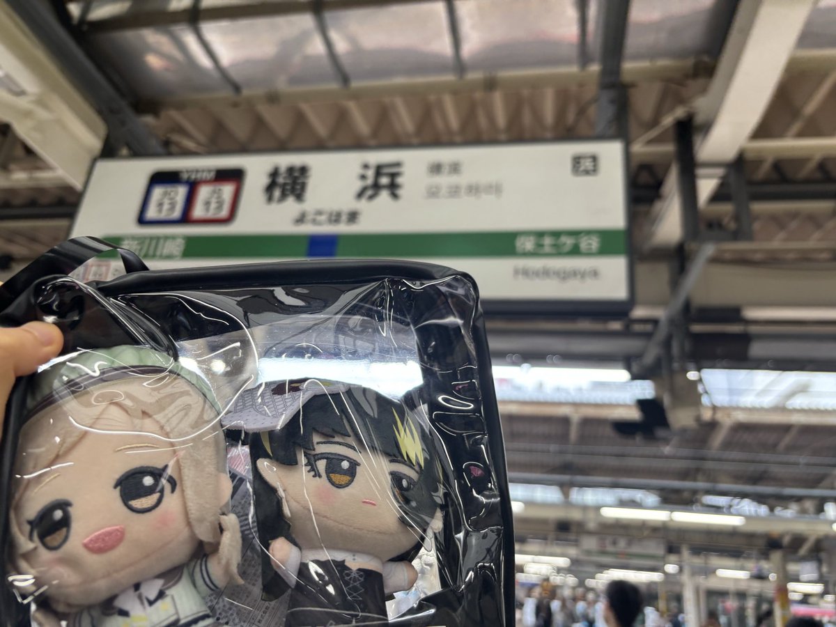 着いたぽよ