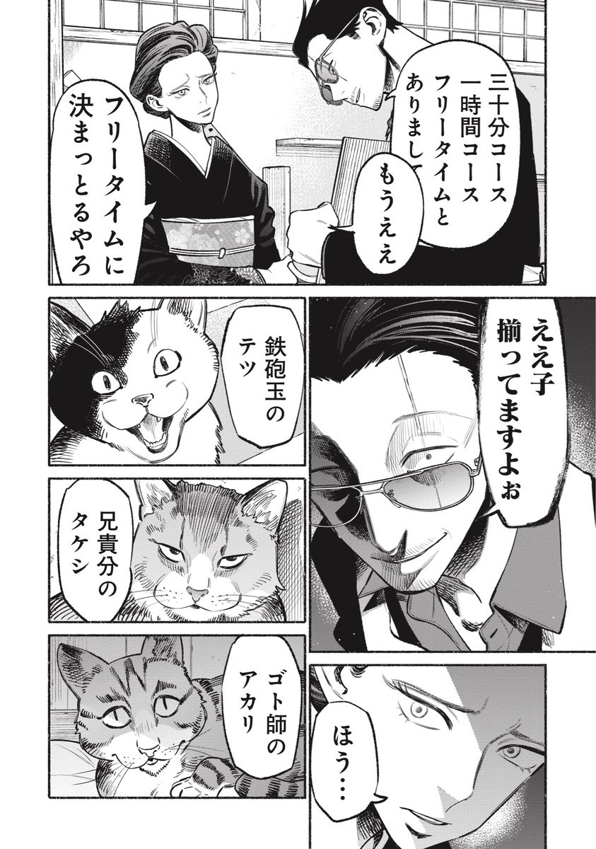 猫カフェの人気キャスト