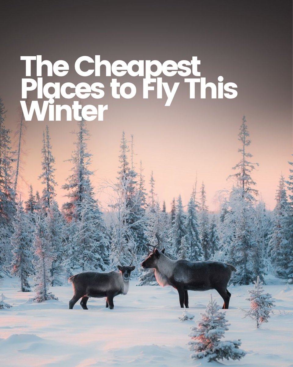 New year, new calendar, new travel deals! ✈️ Winter is the best time to travel—low crowds AND the year's cheapest fares are here before the spring rush: smartertravel.com/cheapest-place…