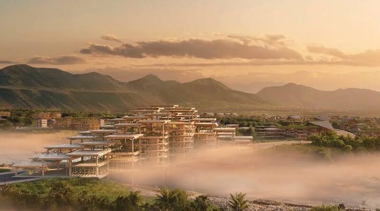 Gratitude DNA tweet media