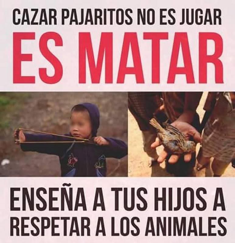 En nuestro entorno, todos podemos ayudar a que el mundo sea mejor: ¡Enseña a tus hijos a respetar a los animales!