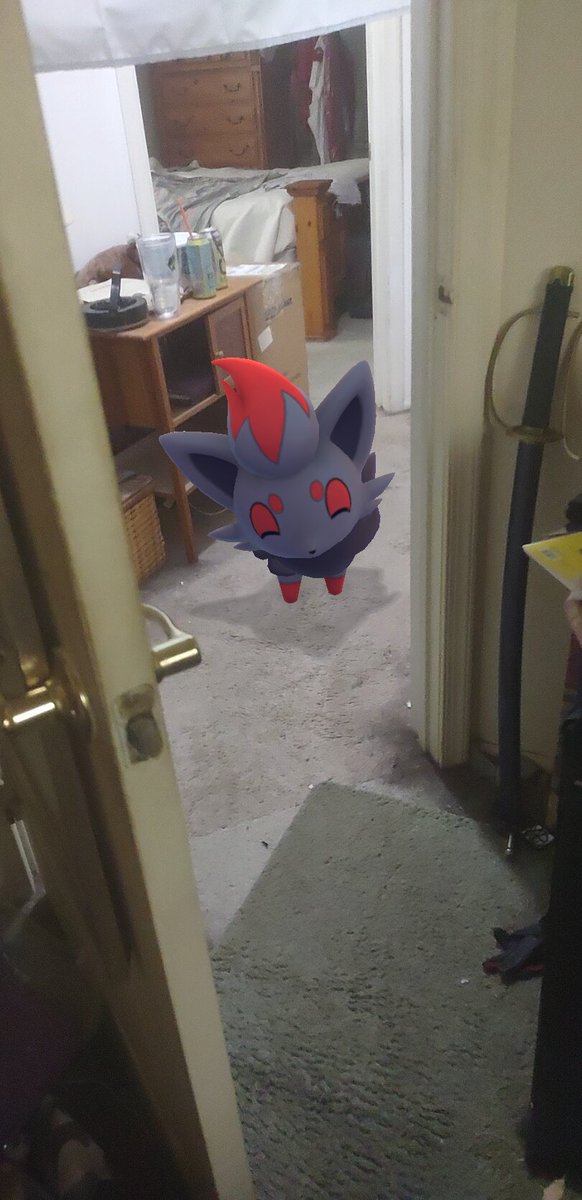 floozy_arts's tweet image. See I'm just trying to use the bathroom and THIS THING is in the hallway bothering me
But say hi to Loki everyone 
#Pokemon