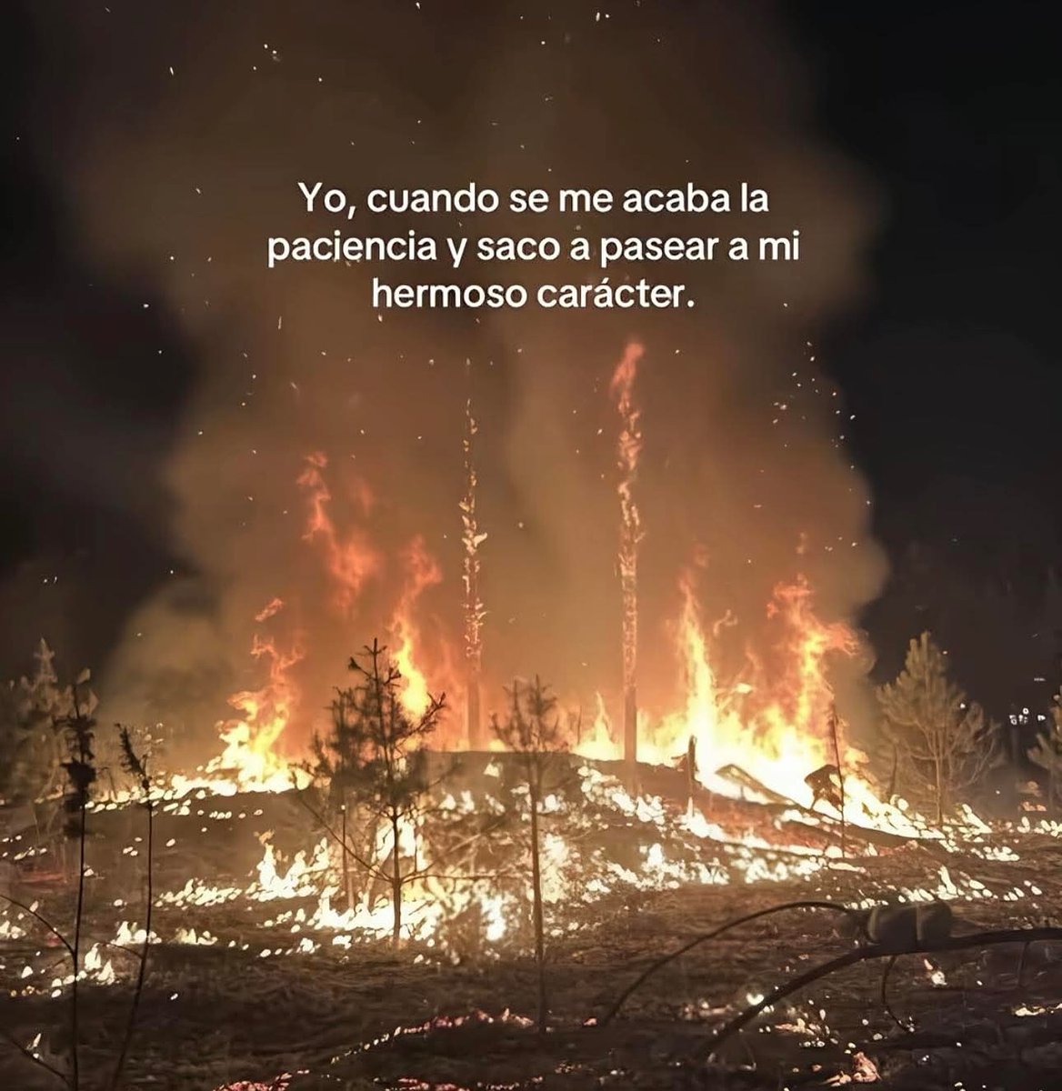 sad (@isadtuit) on Twitter photo 