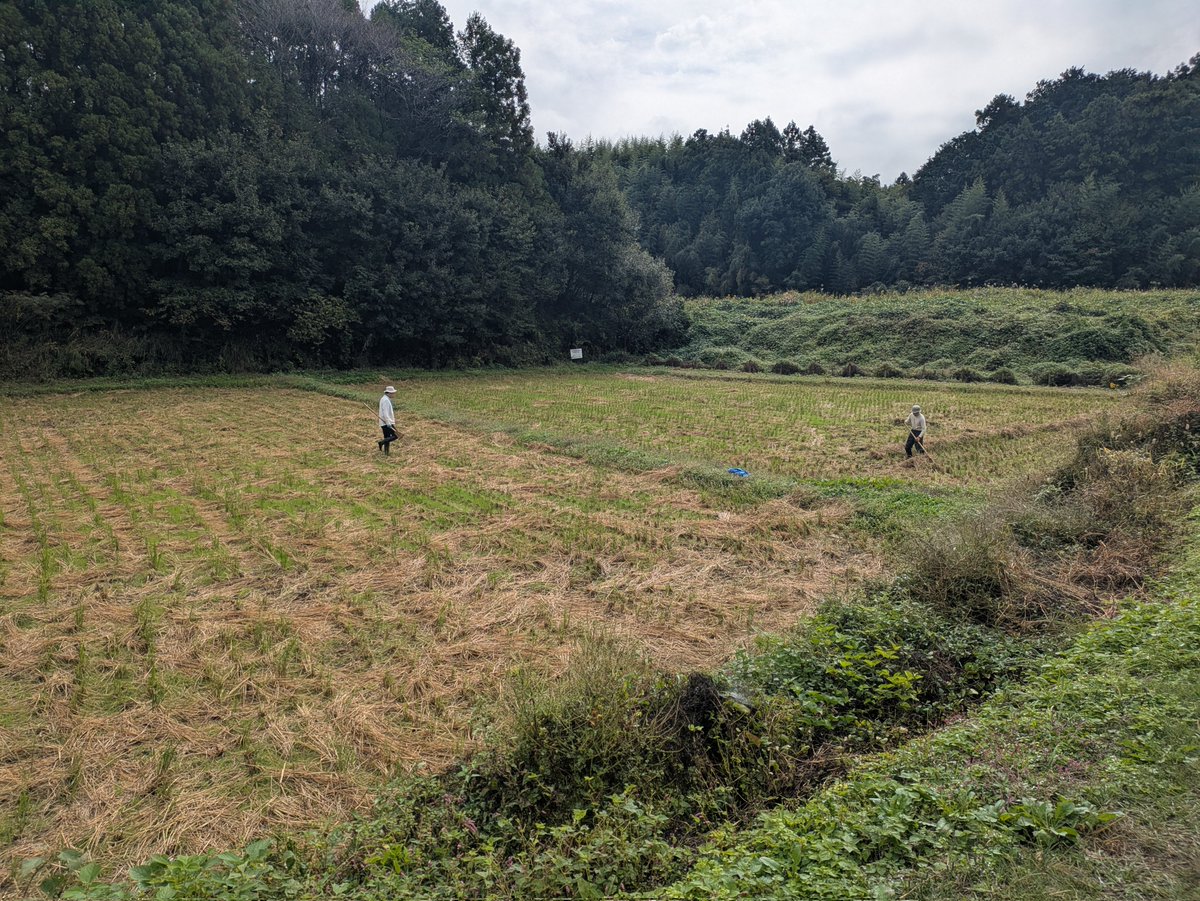 田んぼページ やまだ まさゆき on X