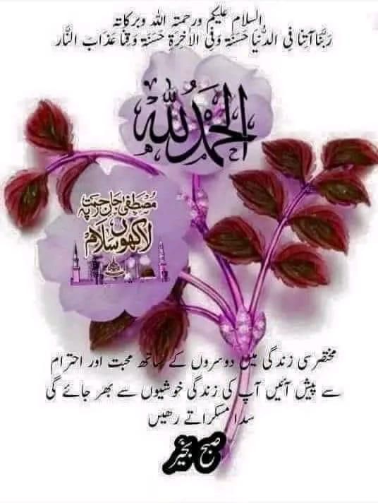 Musrrat_11 (@musrratrukhsana) on Twitter photo 