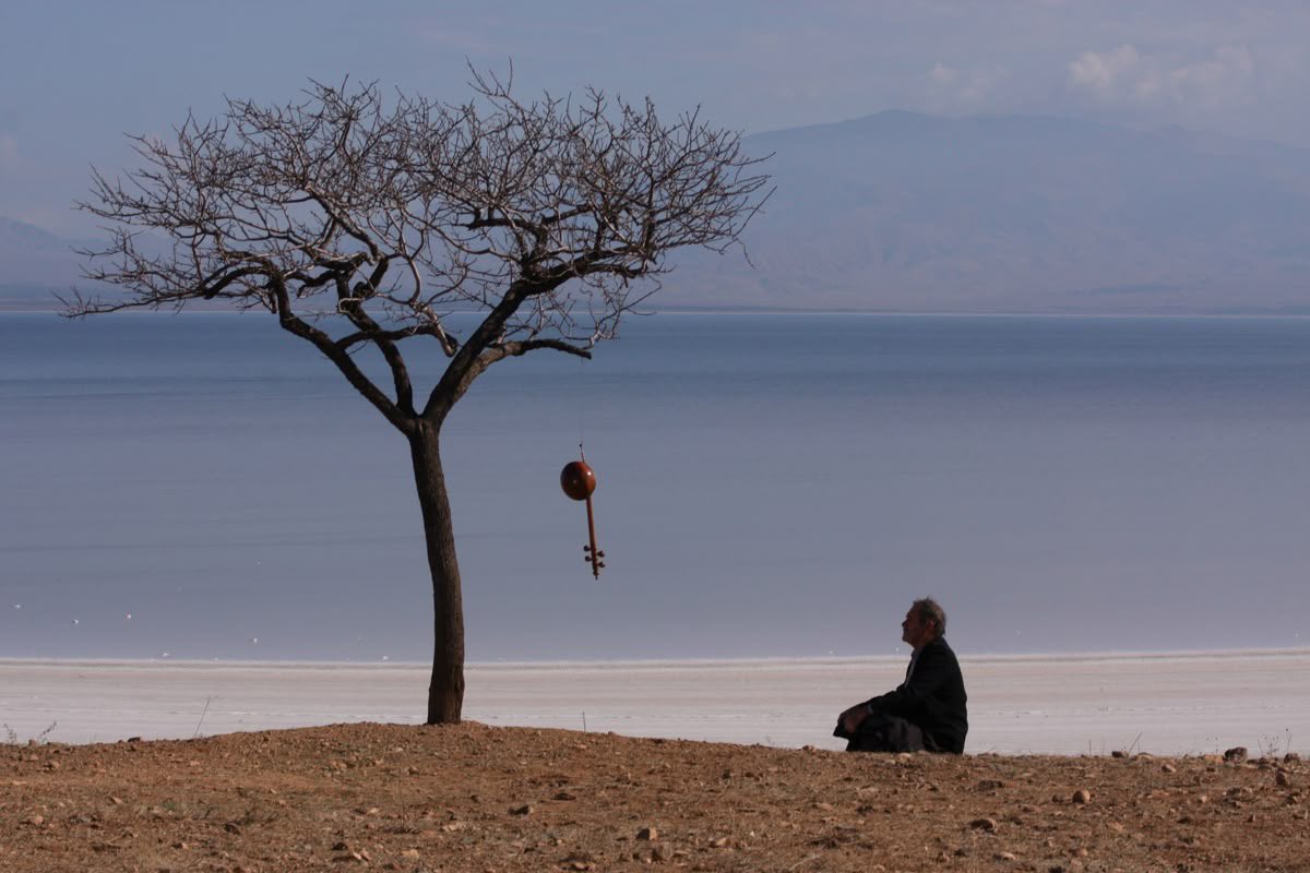 تقول إنها ترغب في كوخ منعزل في حقلٍ رحيب، وشجرة قريبة وسماءٍ واسعة.