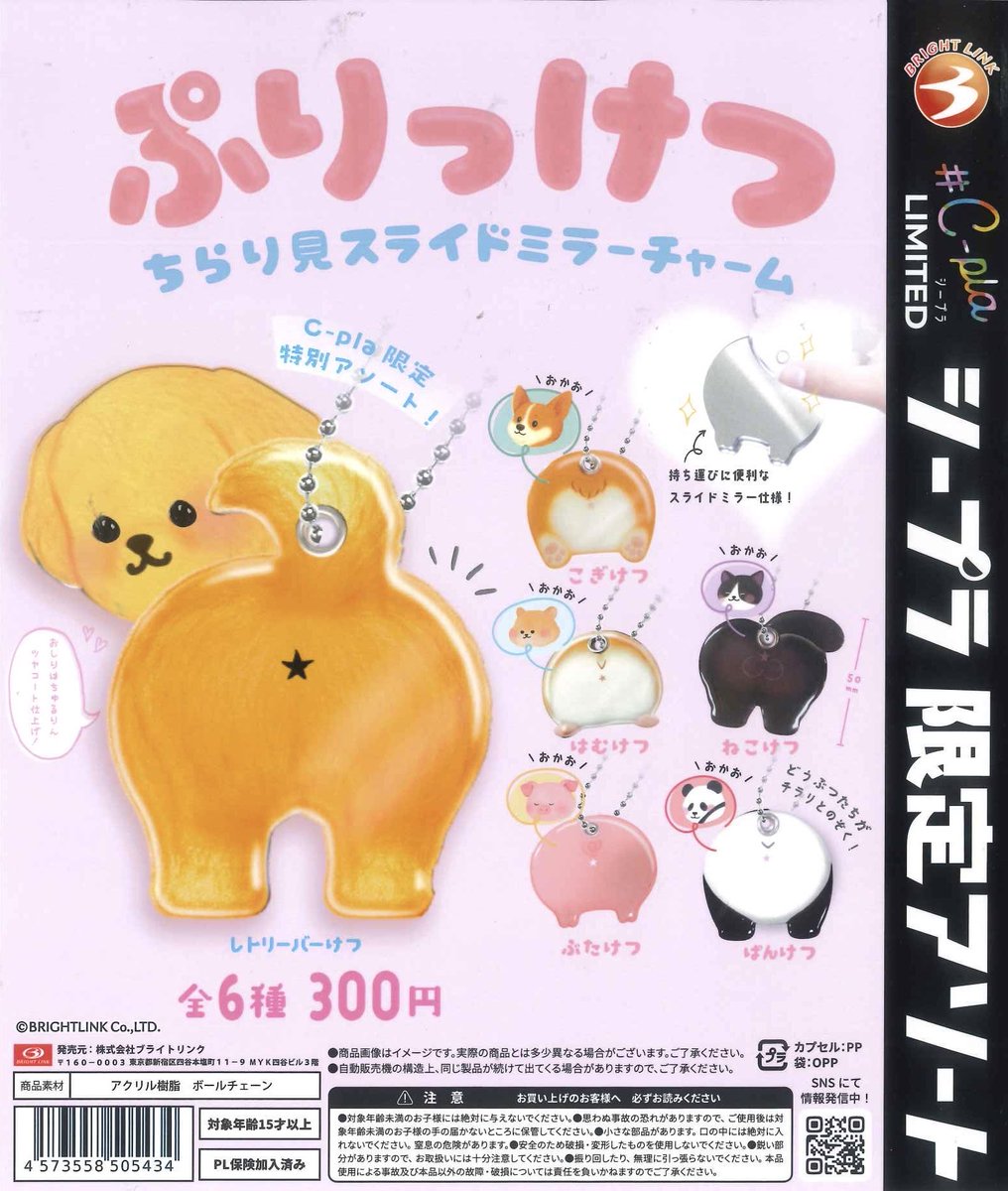 シナリー R2など ねこx2⭐︎様 シナリー R2など ねこx2⭐︎様