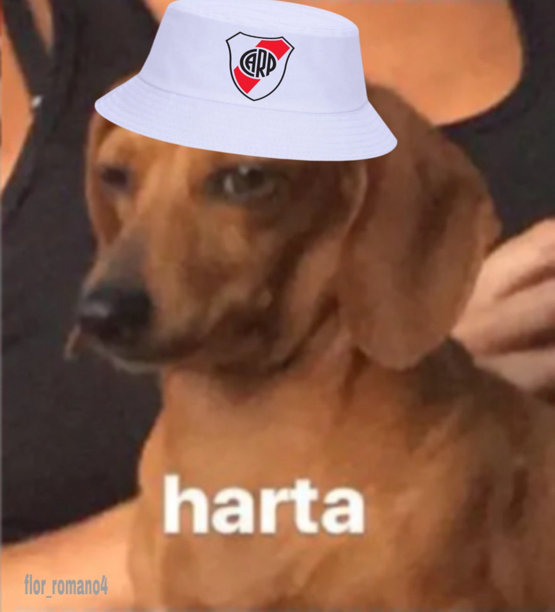 flor_romano4's tweet photo. No jugamos a nada, los jugadores no le ponen ganas y no le ganamos a esto equipos de mierda. https://t.co/lpHhtHYXV4