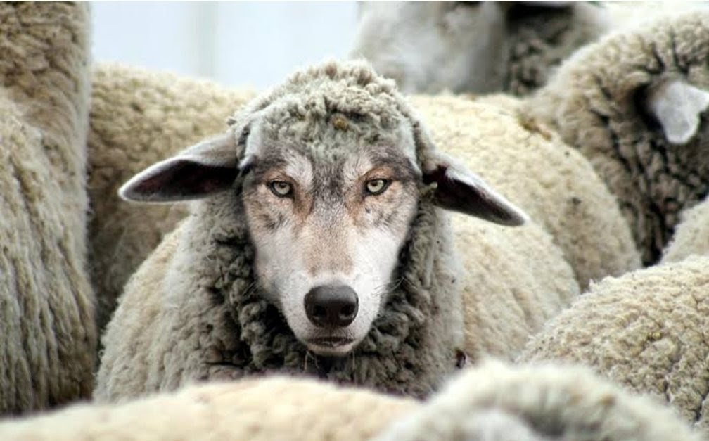 DeannaCRamirez's tweet image. Character matters. Put yours up against Candace. She wins hands down. The darkness is coming to light 🙌 #considerthesource