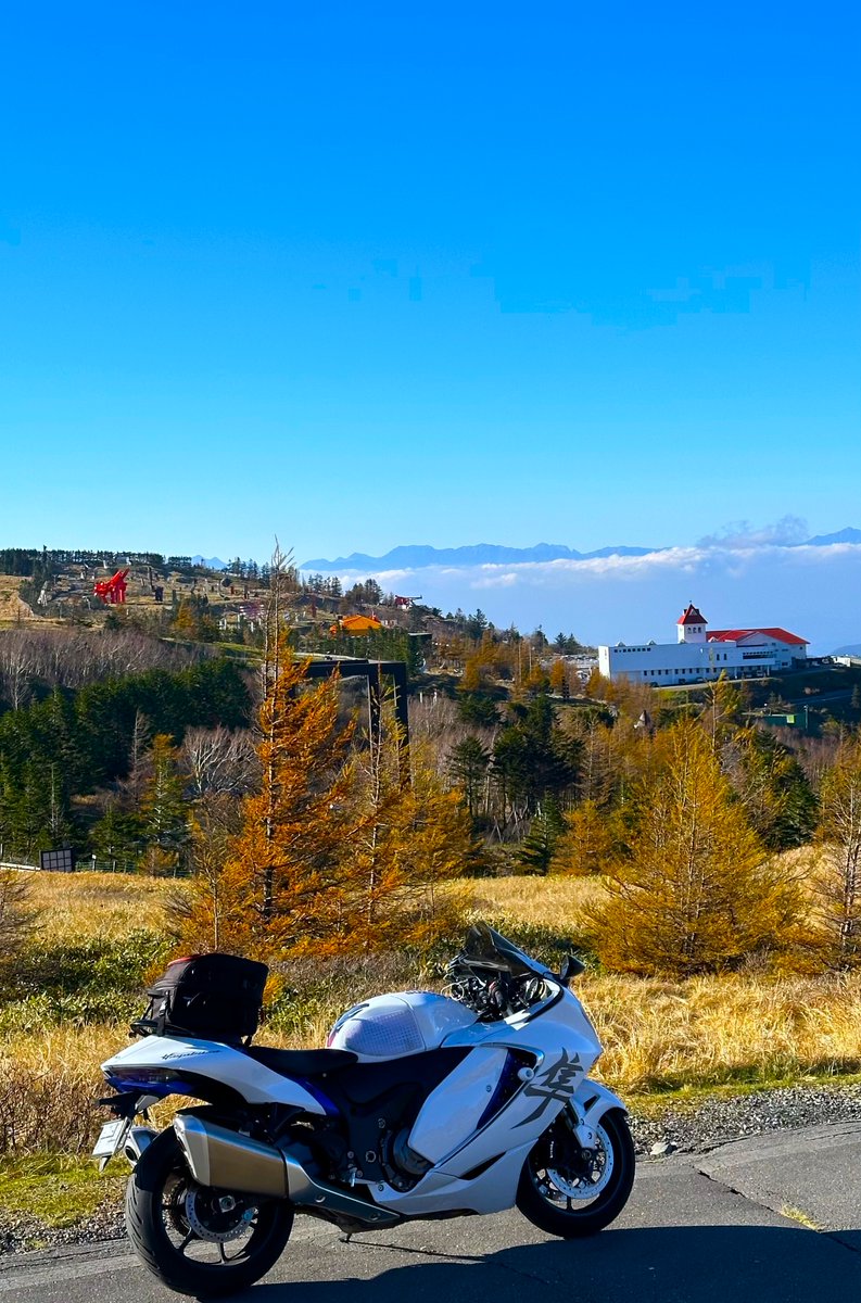 とらちゃん (@torachan675r1) / Posts / X