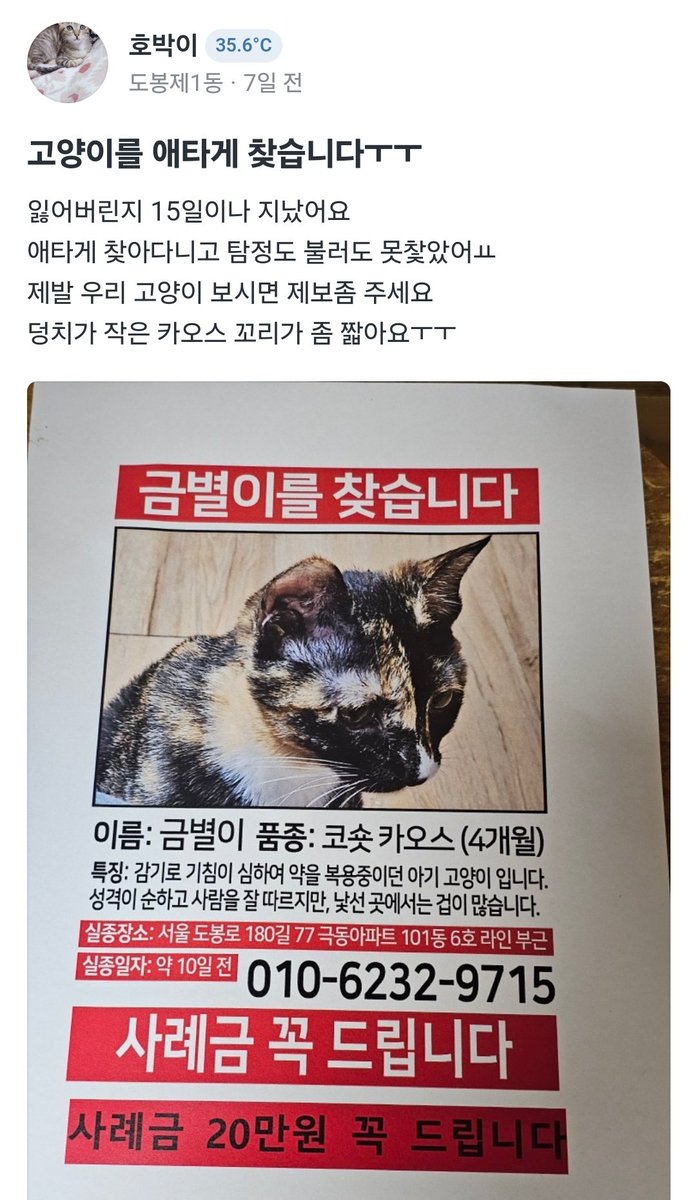 nomorelostpets's tweet image. 금별이 보호자님을 도와주세요🙏

보호자님이 할머니시고 도와줄 분이 없습니다
부탁드립니다..
open.kakao.com/o/gR7qdCYh

도봉구 거주하시는 분들 조금만 도와주세요 부탁드립니다
많은 RT 부탁드립니다!!