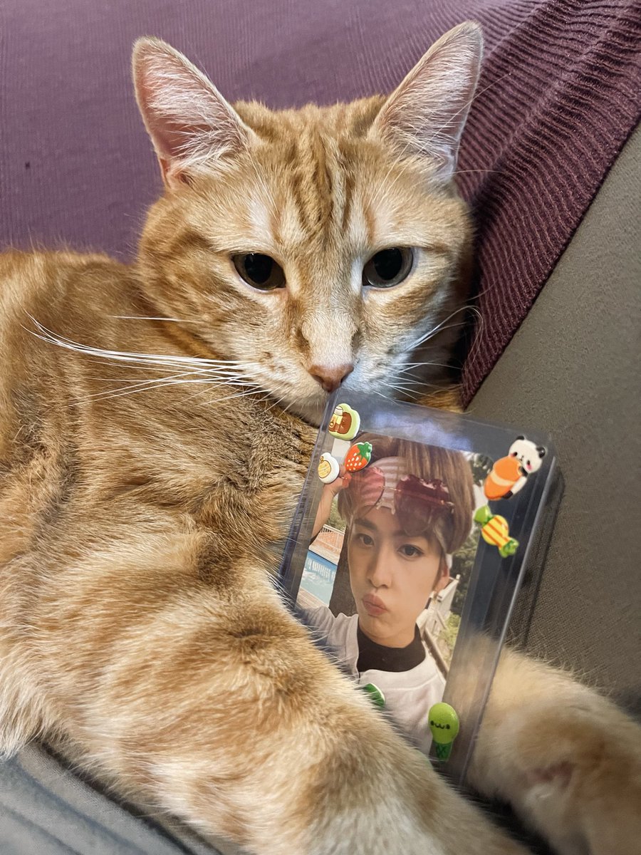 minho_ranita's tweet image. HBD LINITO! 
Elliot y yo te amamos 💕✨
LEE KNOW, BORN TO INSPIRE
#하이하이_오늘은_리노_생일
#PoetryInMotionLeeKnow
#HappyLeeKnowDay