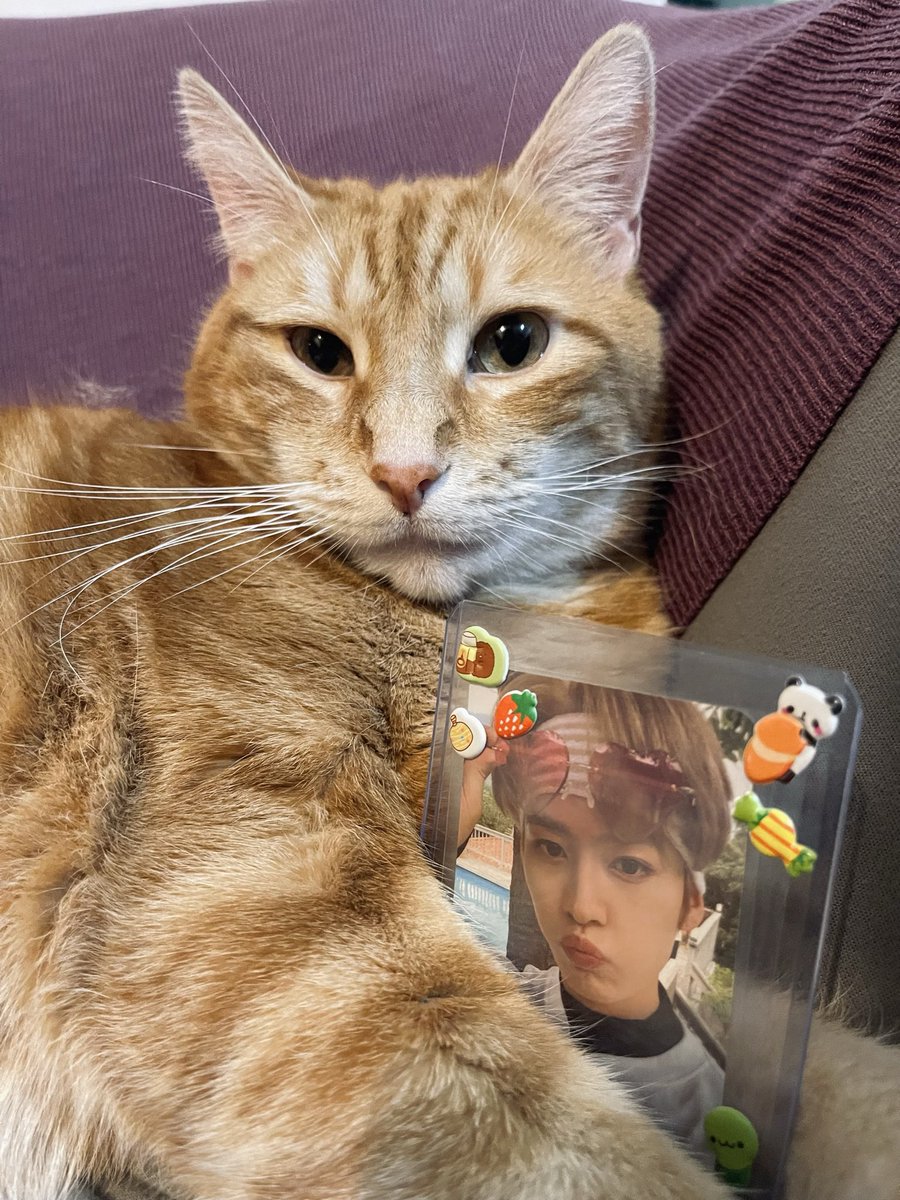 minho_ranita's tweet image. HBD LINITO! 
Elliot y yo te amamos 💕✨
LEE KNOW, BORN TO INSPIRE
#하이하이_오늘은_리노_생일
#PoetryInMotionLeeKnow
#HappyLeeKnowDay