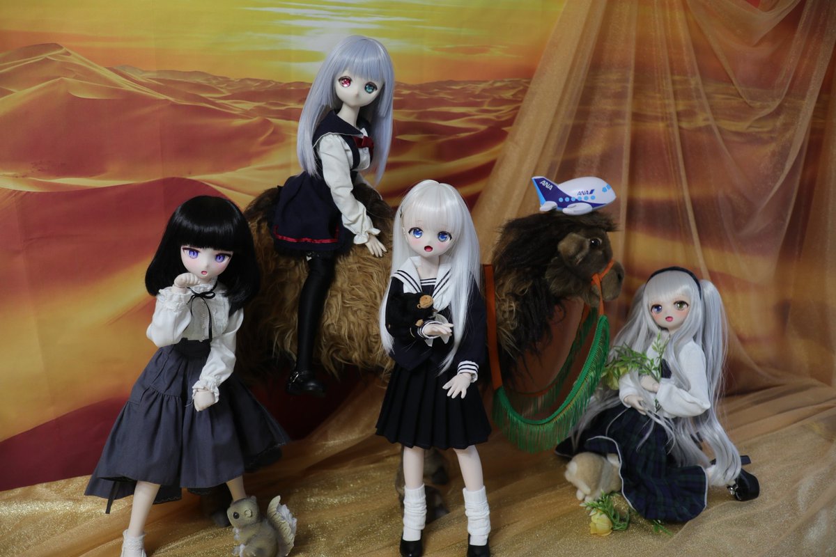 みんなでお写真🐫
ANAちゃんとｼｬﾐｰㄘゃんラクダ🐫

#いちごっ娘
#きせっ娘
#skyloops
#よそのこかわいい