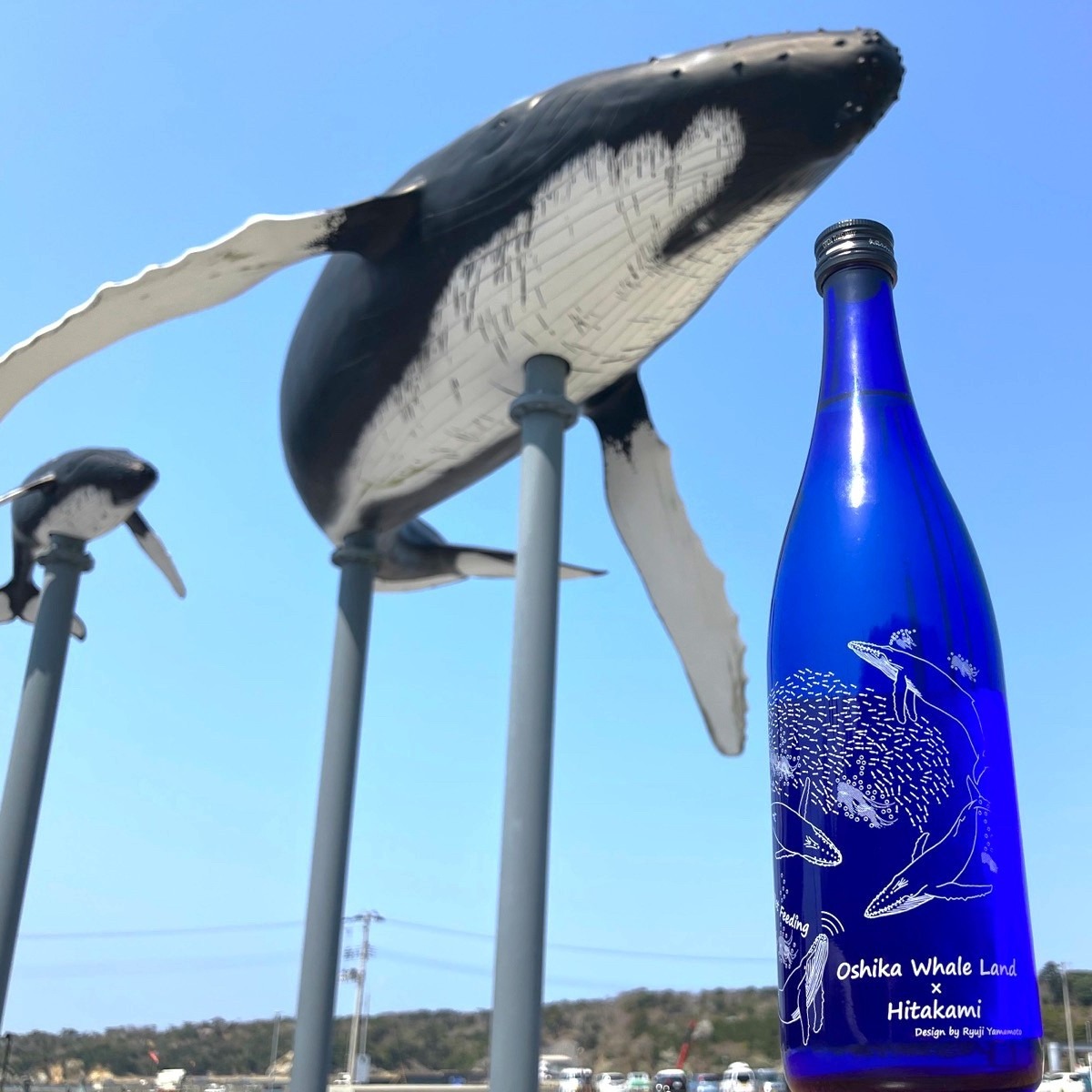当館学芸員がデザインした【日高見純米大吟醸くじらボトル】第2弾の