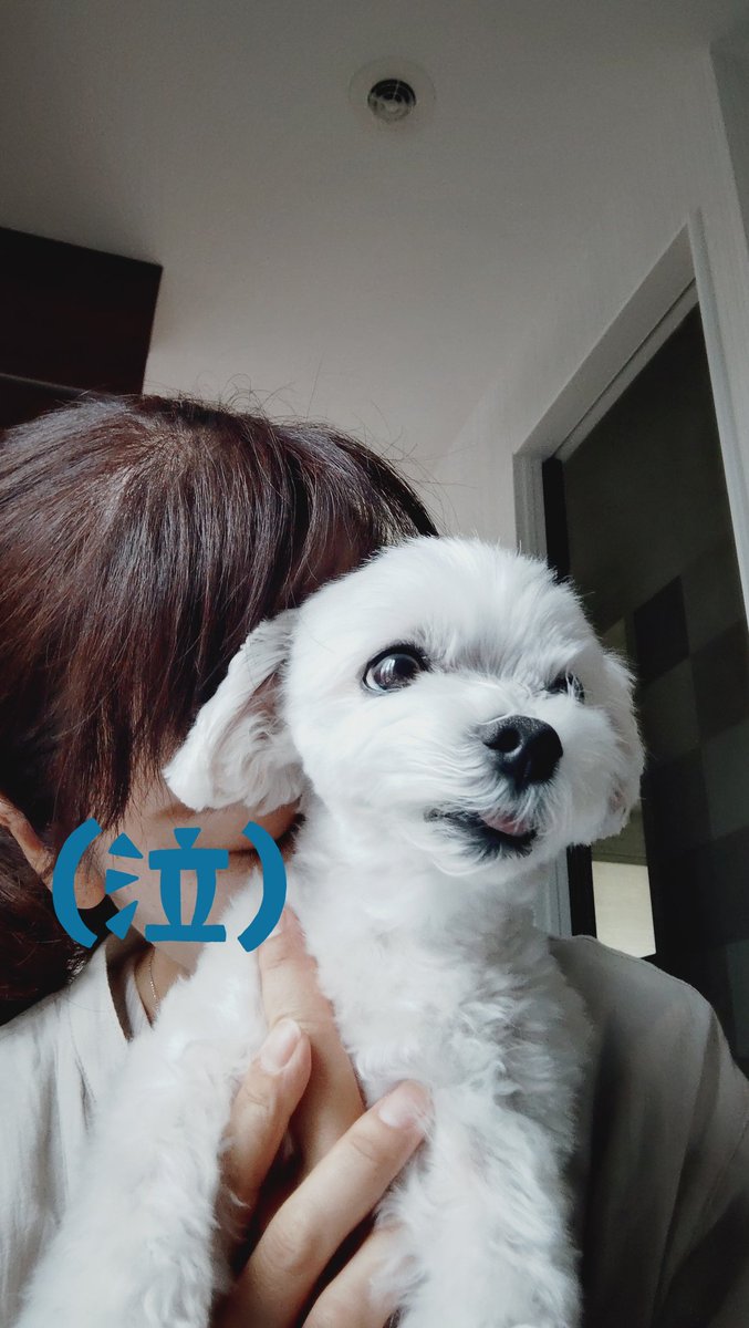 にこまる (@6yQgZFNMNk76215) / Posts / X