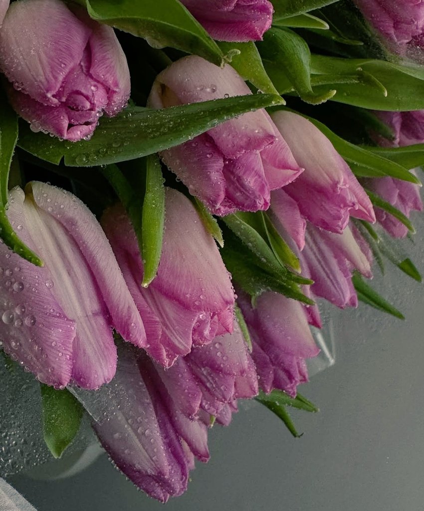 Happy weekend, my dear friends🩷🩷 #tulips