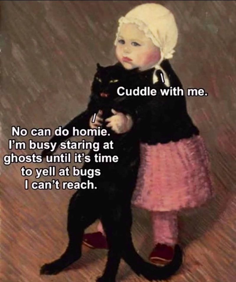 Corey Stewart 🎃👿🔪👻😰👹 tweet media