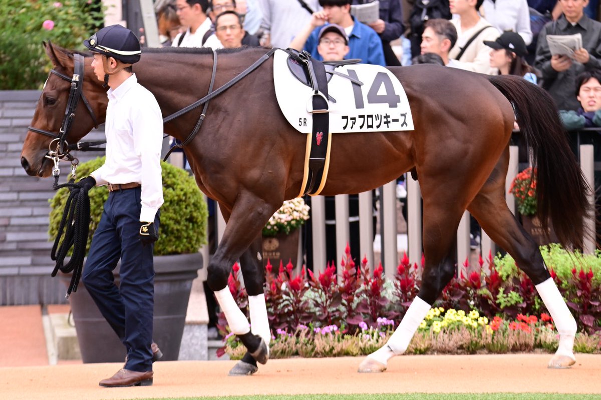 トモッチ様 Anti Pig CD3 Antibody, clone PPT3 | Bio-Rad