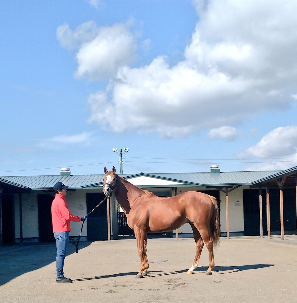 yasu (@7VMHZdbgeld16JJ) / Posts / X