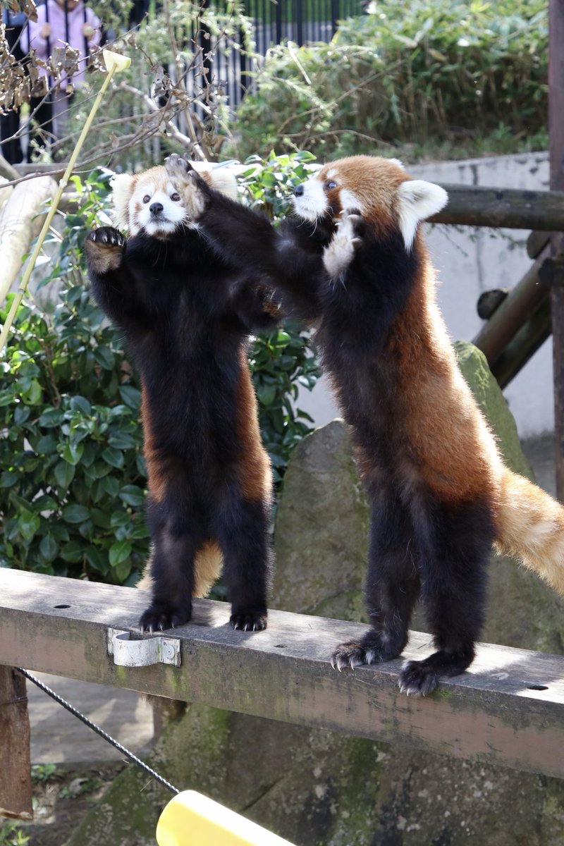 おさかなさん。 江戸屋】おさかなさん76g（3351） | 【 公式 】北の箱 〜 北海道