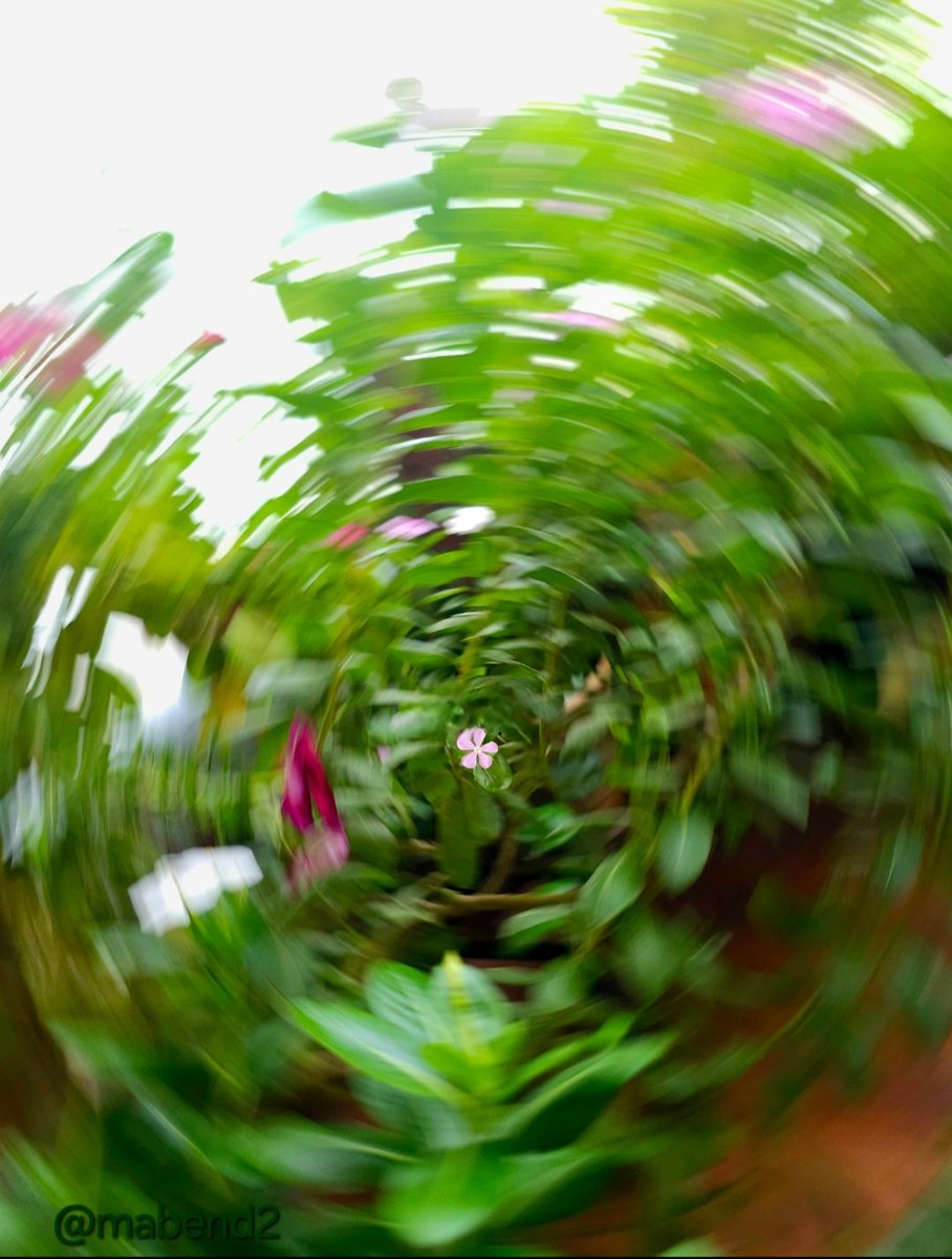 mabend2's tweet image. Theme: Circle ⭕️
Still trying to perfect, but here it goes.... 
#theme_pic_India_circularmotion