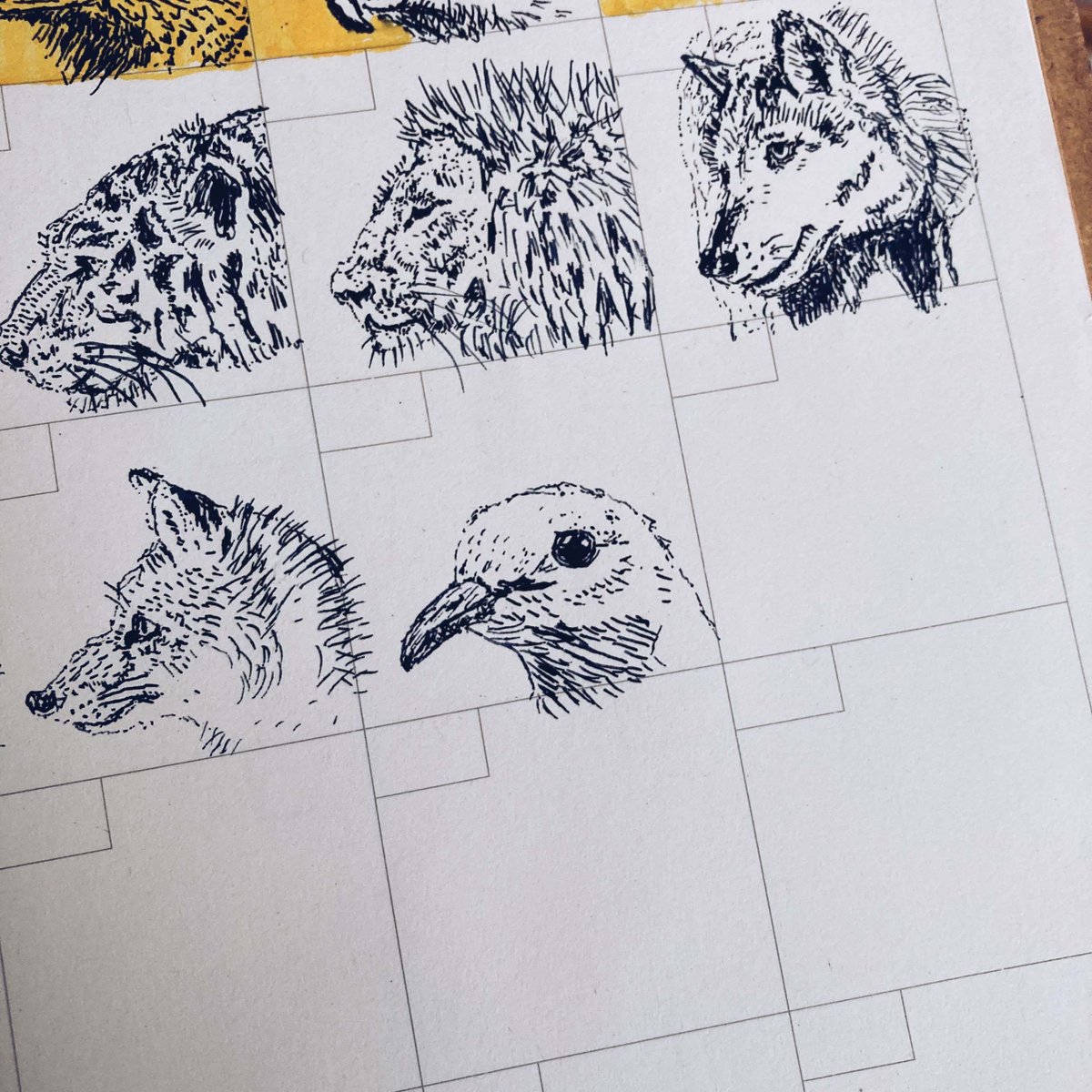 「イクメン」って言葉、人間社会の新しい概念だと思ってました。

でもハトのオス、何百万年も前から完璧なイクメンやってます。

ピジョンミルクっていうミルクを出して、雛を育てるんです。

オスがですよ。これからハトのオスを見たら、尊敬の念を込めて「イクメンの先輩」と呼びます。