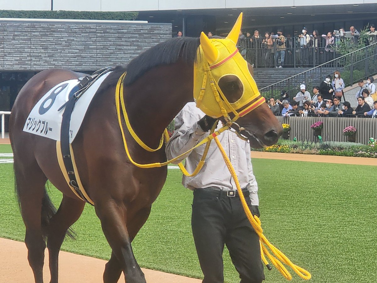 まっさん⭐︎専用ページ 真緒 on X