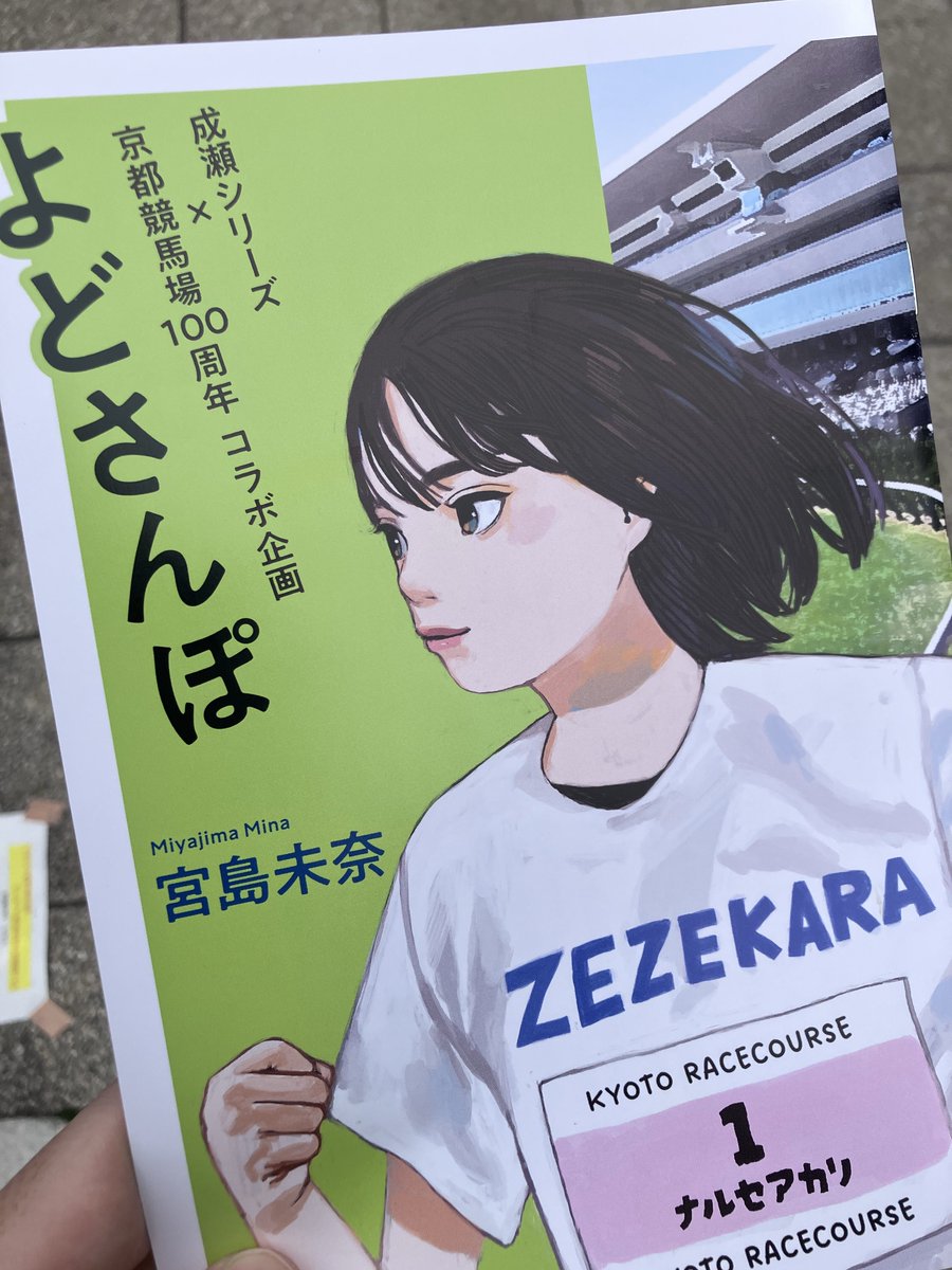 キセキリオページ NINJA ZX-4R SE('23〜)NINJA ZX-4RR KRT EDITION('23