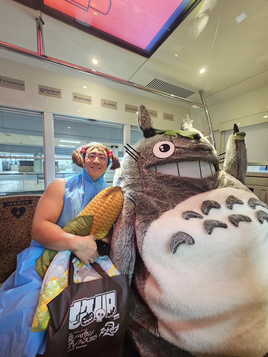 となりのトトロ✴︎特大大トトロ✴︎レモンとなります。 208-AC01 となりのトトロ トトロの森便り | 玩具卸売 カワダオンライン