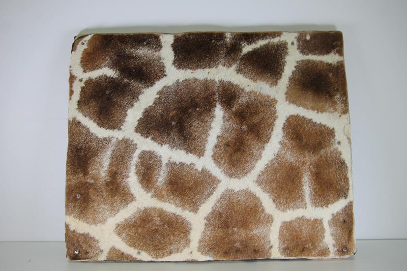 京都市動物園（公式） on X