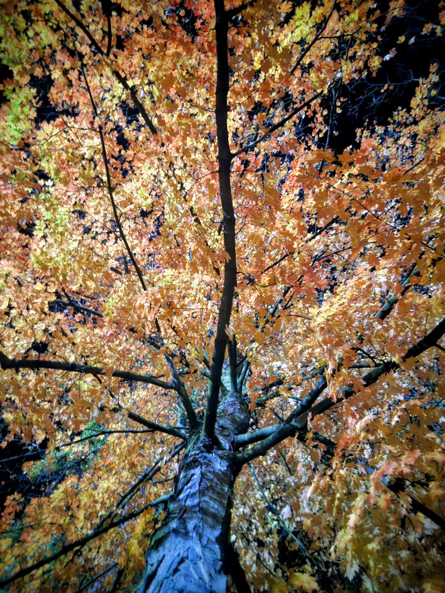 pass_ev's tweet image. 