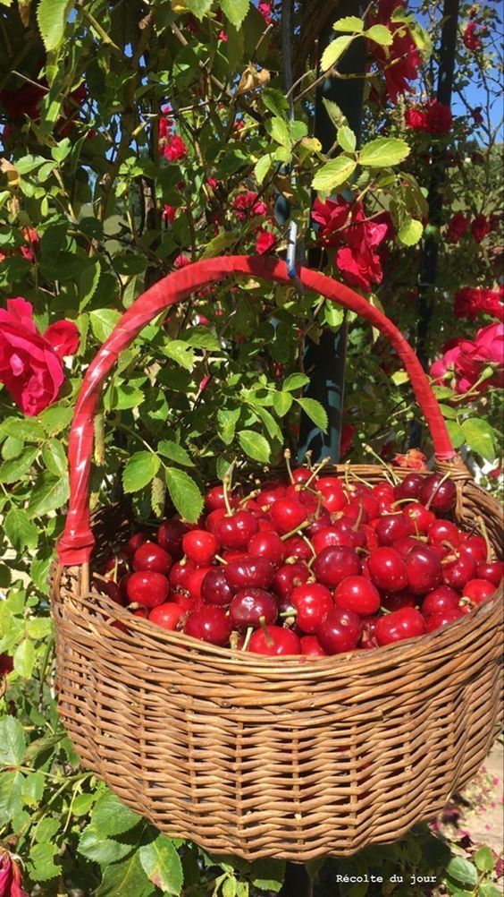 ᅠ ᅠ (@greendreaams) on Twitter photo 