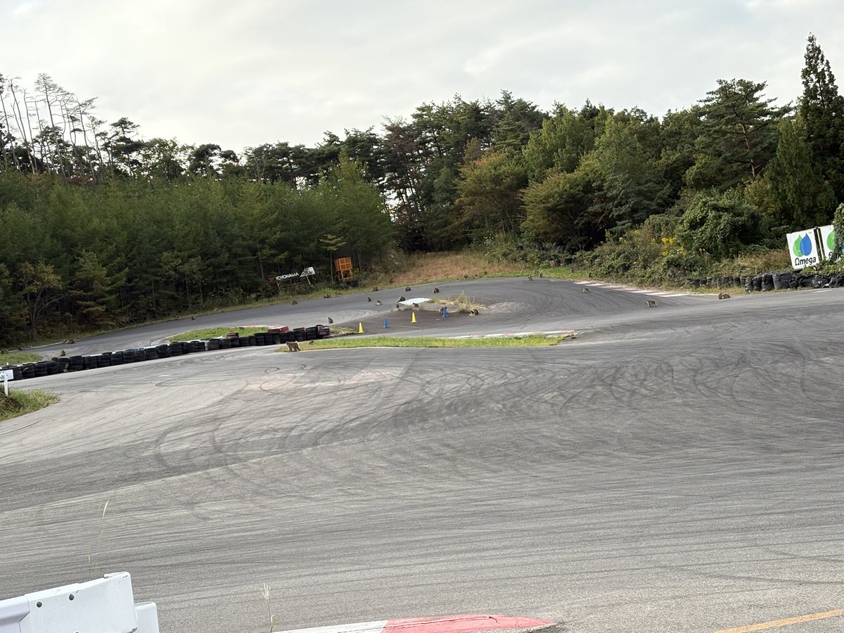 まいたむ tweet media