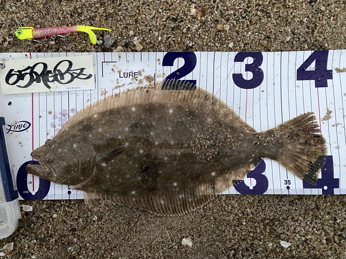 遊神チヌSP　様　確認ページ❗ 遊神チヌSP 様 確認ページ❗