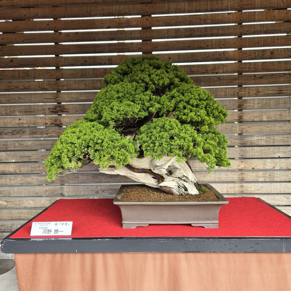 maki koba (@makikoba7) / Posts / X