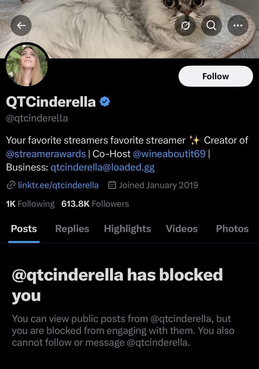 Updates ? tweet media