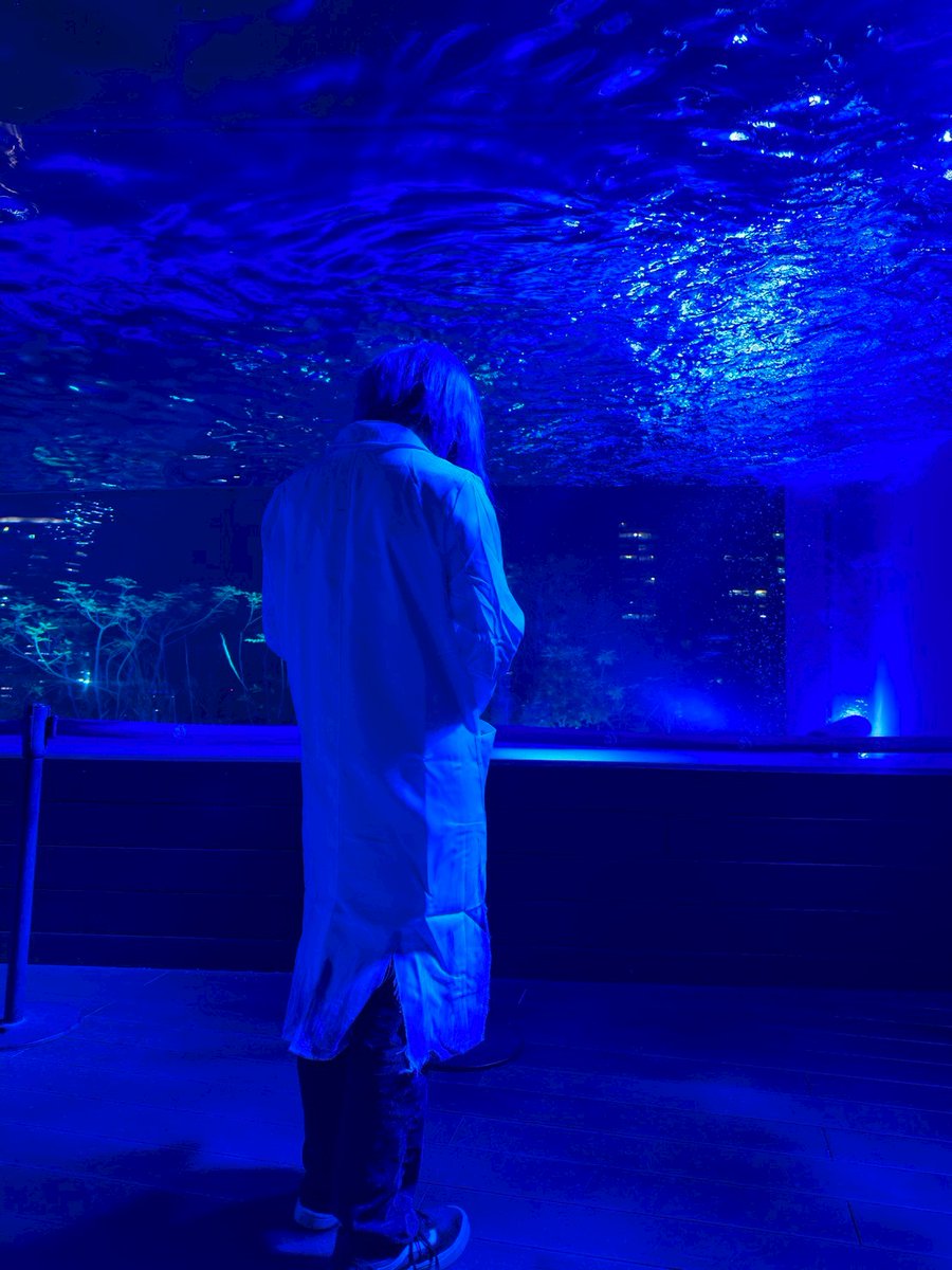 かなせさん tweet media