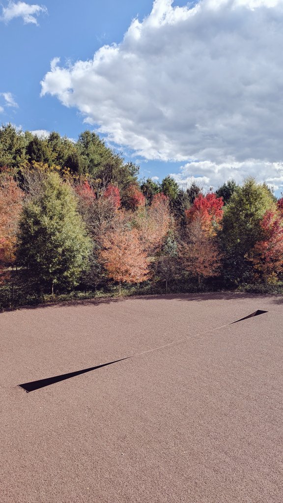 What was I doing in Rockville? Catching the free Ride On shuttle which guarantees admission to <a href="/GlenstoneMuseum/">Glenstone Museum</a>, a spectacular private contemporary art collection inside galleries and across rolling hills with a Stepford Wives vibe - everything is a little too perfect.