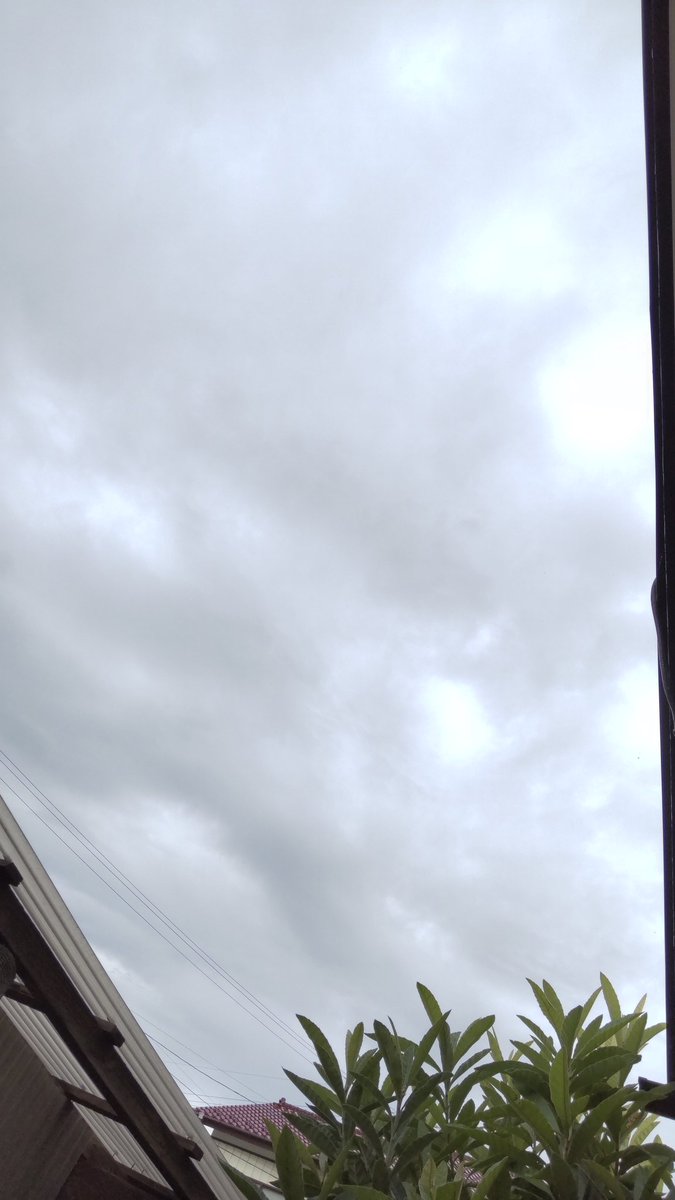 おはようございます～☁️🌧️

今日も一日ご安全にお過ごしくださいませ(* ´ ▽ ` *)ﾉ✨

10月25日(土)曇り17℃