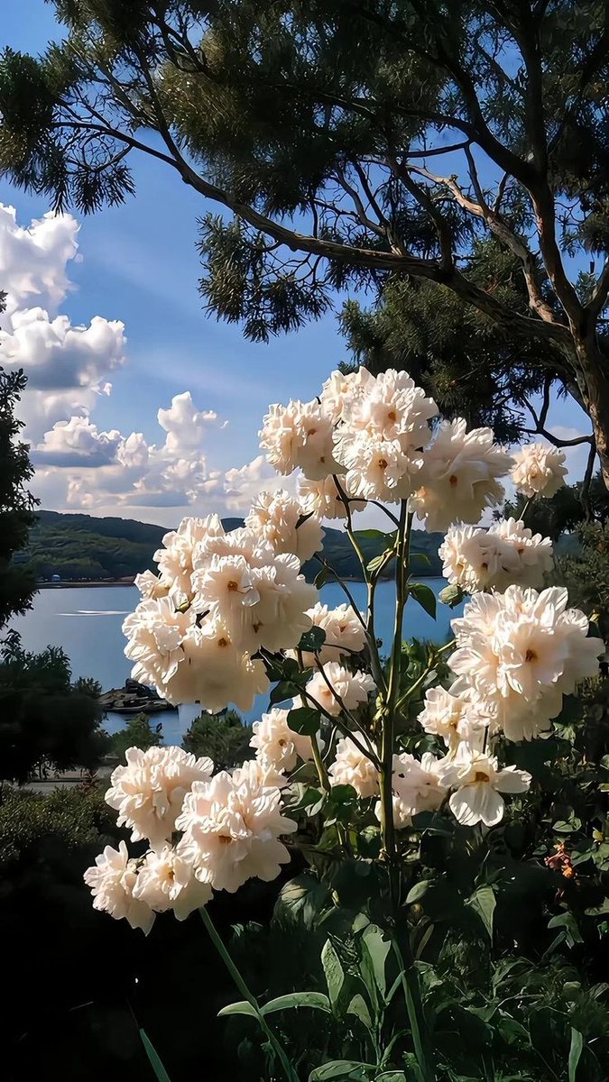 blue dream (@bluedreamvibes) on Twitter photo 