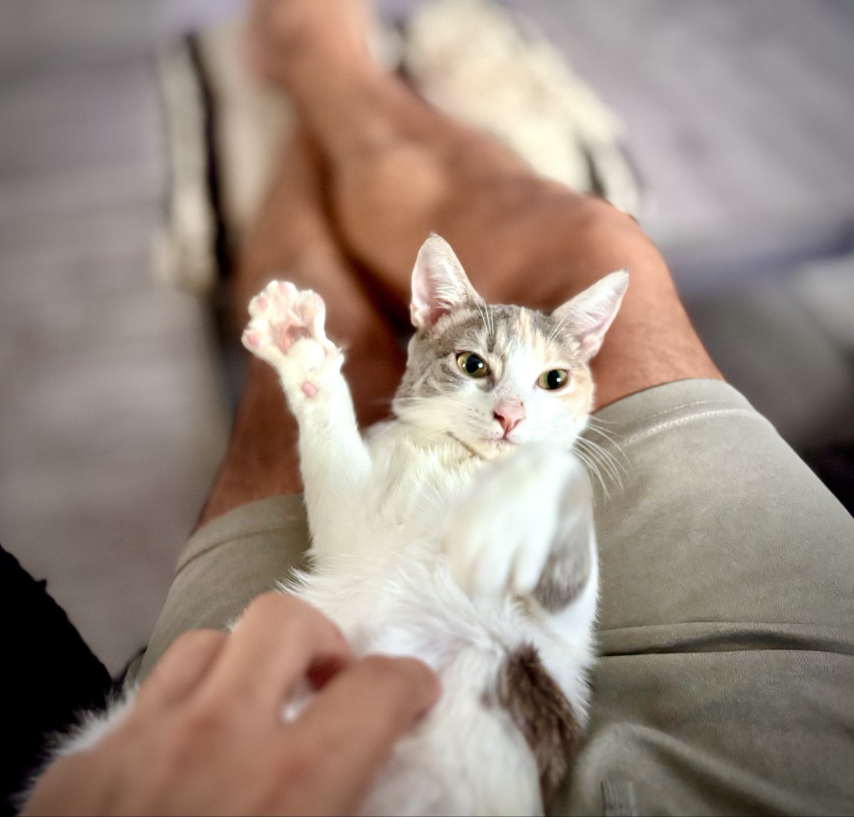 Anybody want some steak nachos? #FridayVibes
