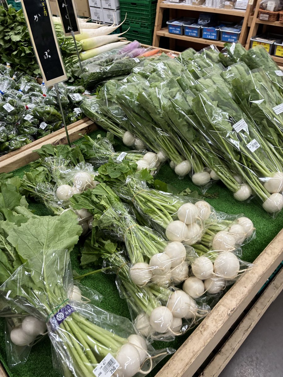 おはようございます🌞 本日は八王子産のかぶ、ピーマン、大根