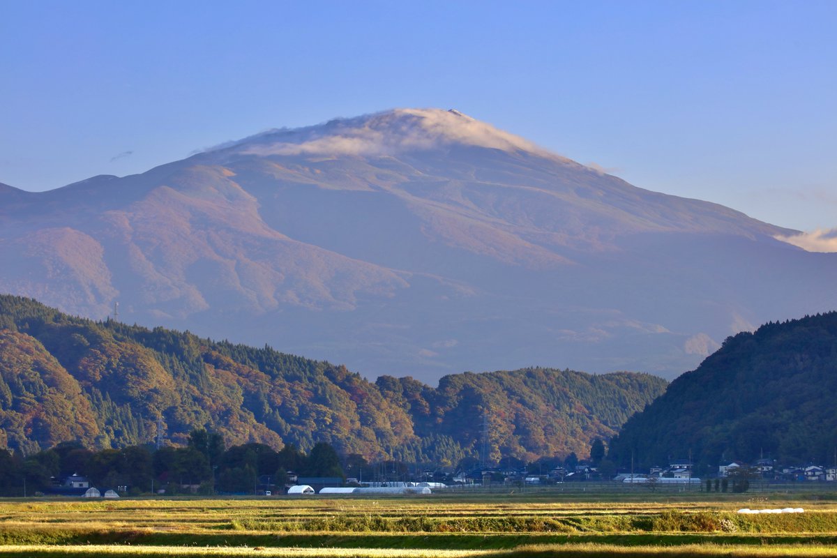 おさかなさん (@osakana12090923) / Posts / X