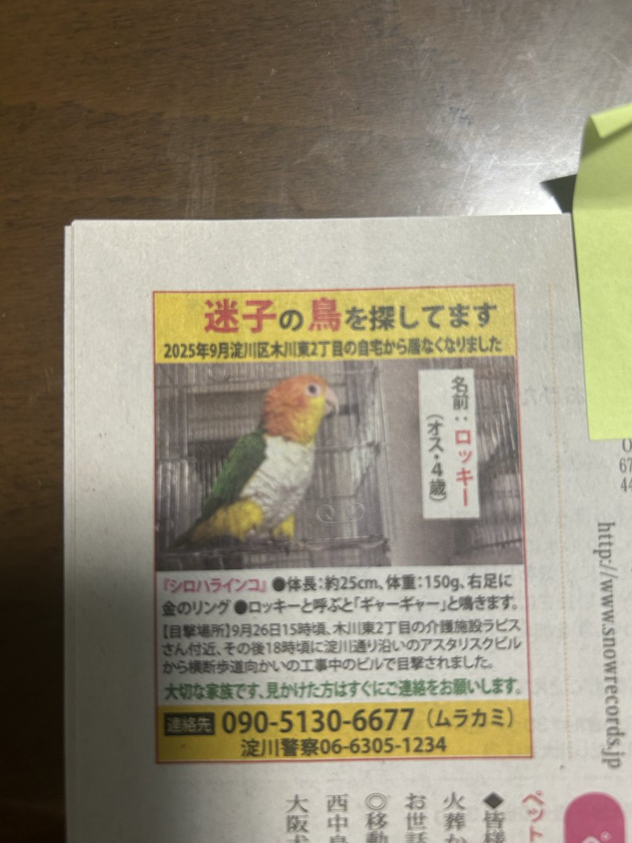 torimura (@whONdukL7D58492) / Posts / X