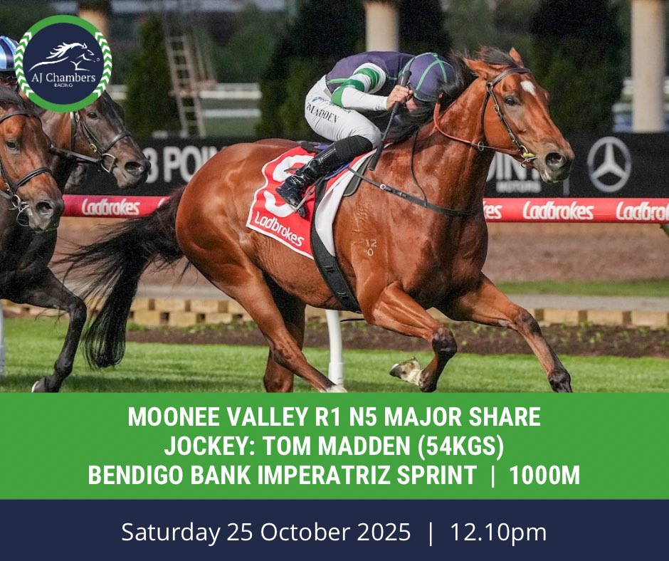 AJ Chambers Racing tweet media