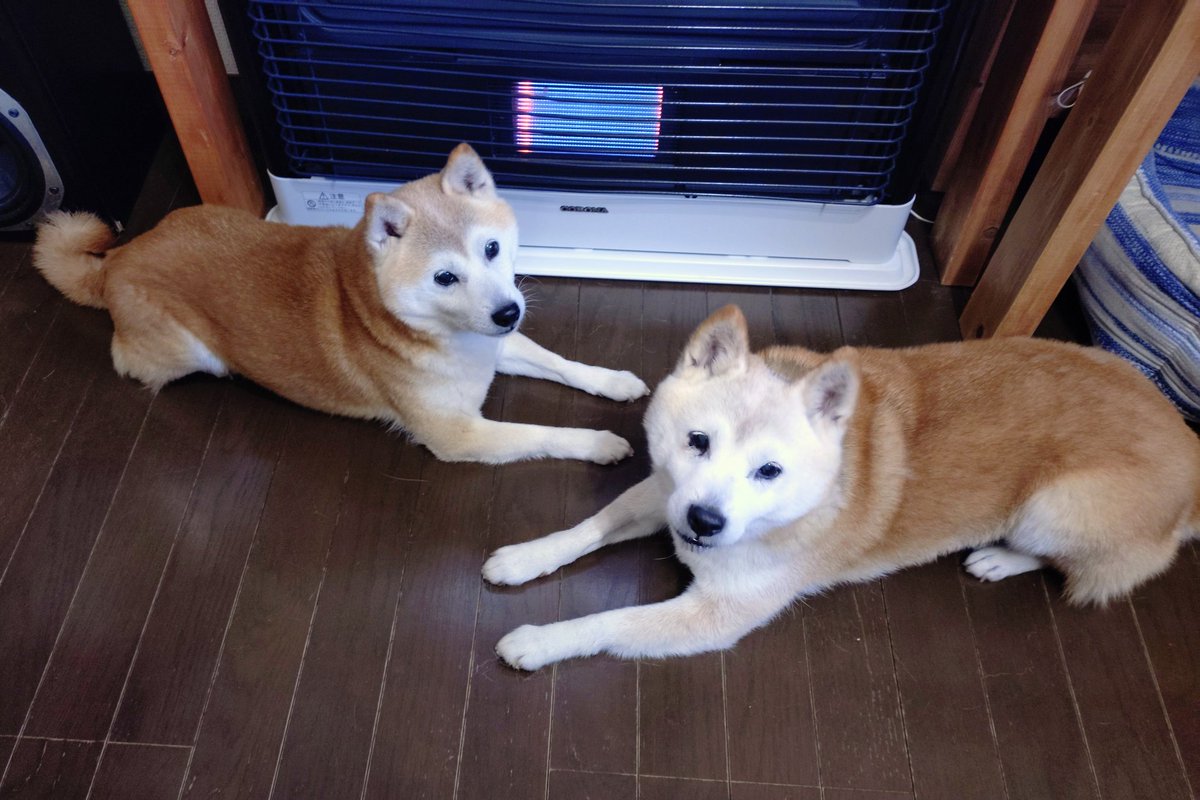 みなさま 楽しい週末を🎶